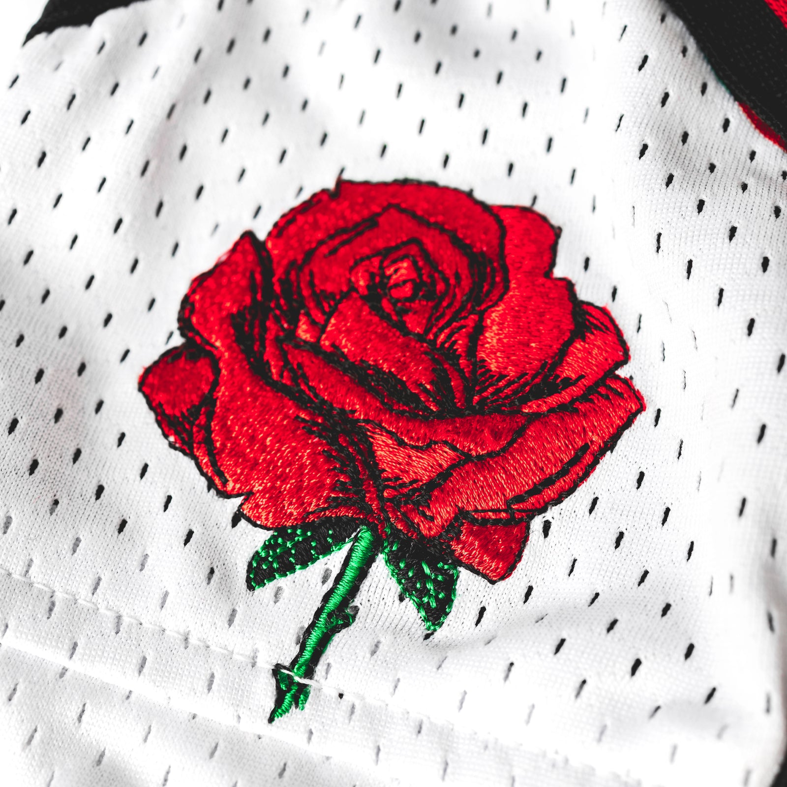"Rose Red" Heavyweight Mesh Shorts