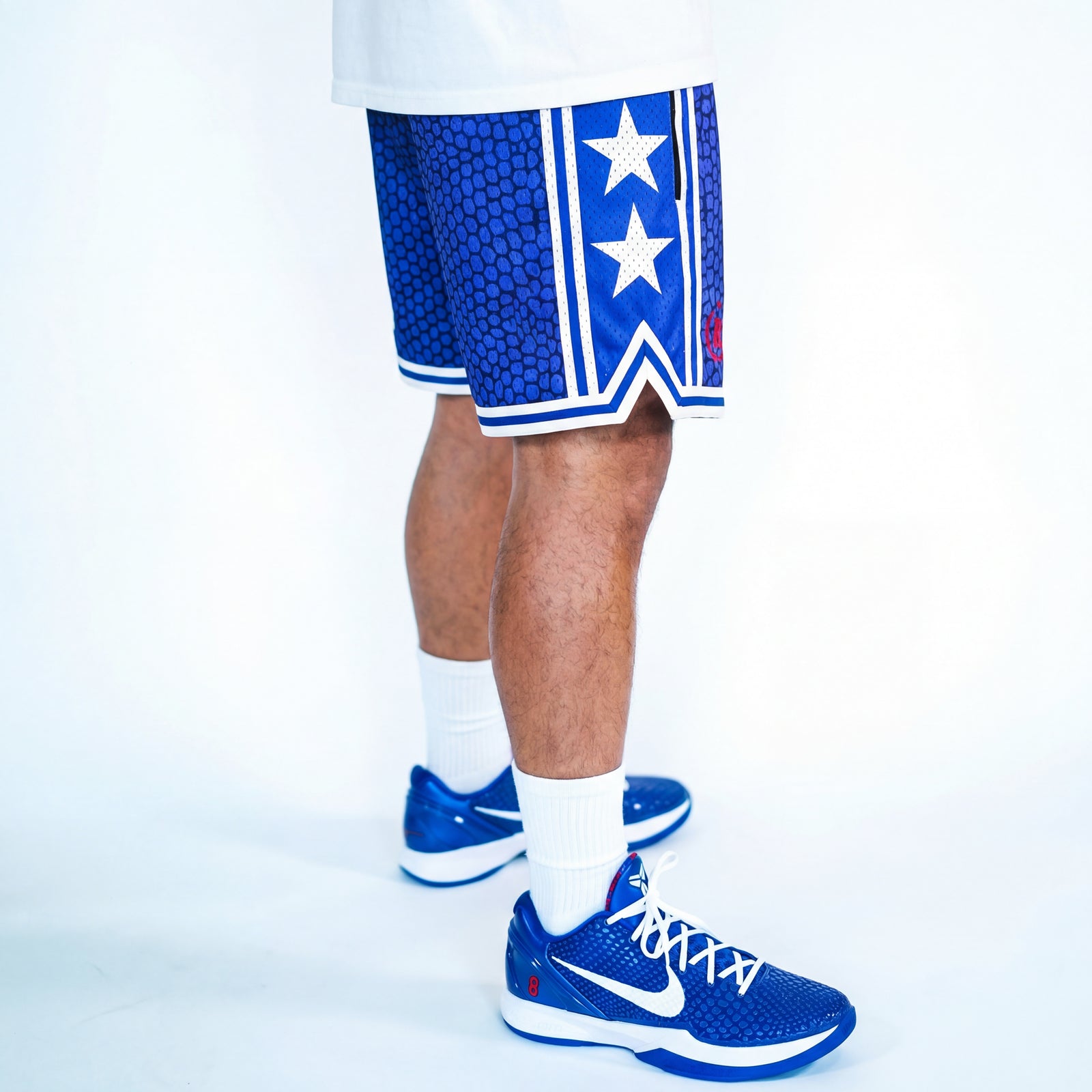"Snake Blue" Heavyweight Mesh Shorts